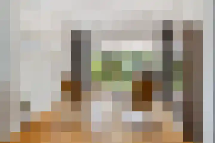 Borchsatelaan 62 Rotterdam thumbnail 8