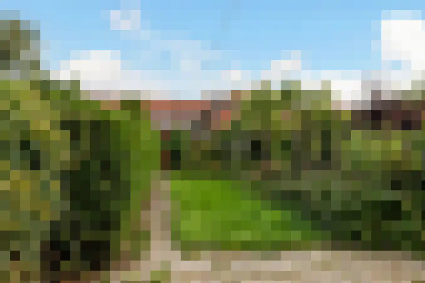Borchsatelaan 93 Rotterdam thumbnail 18