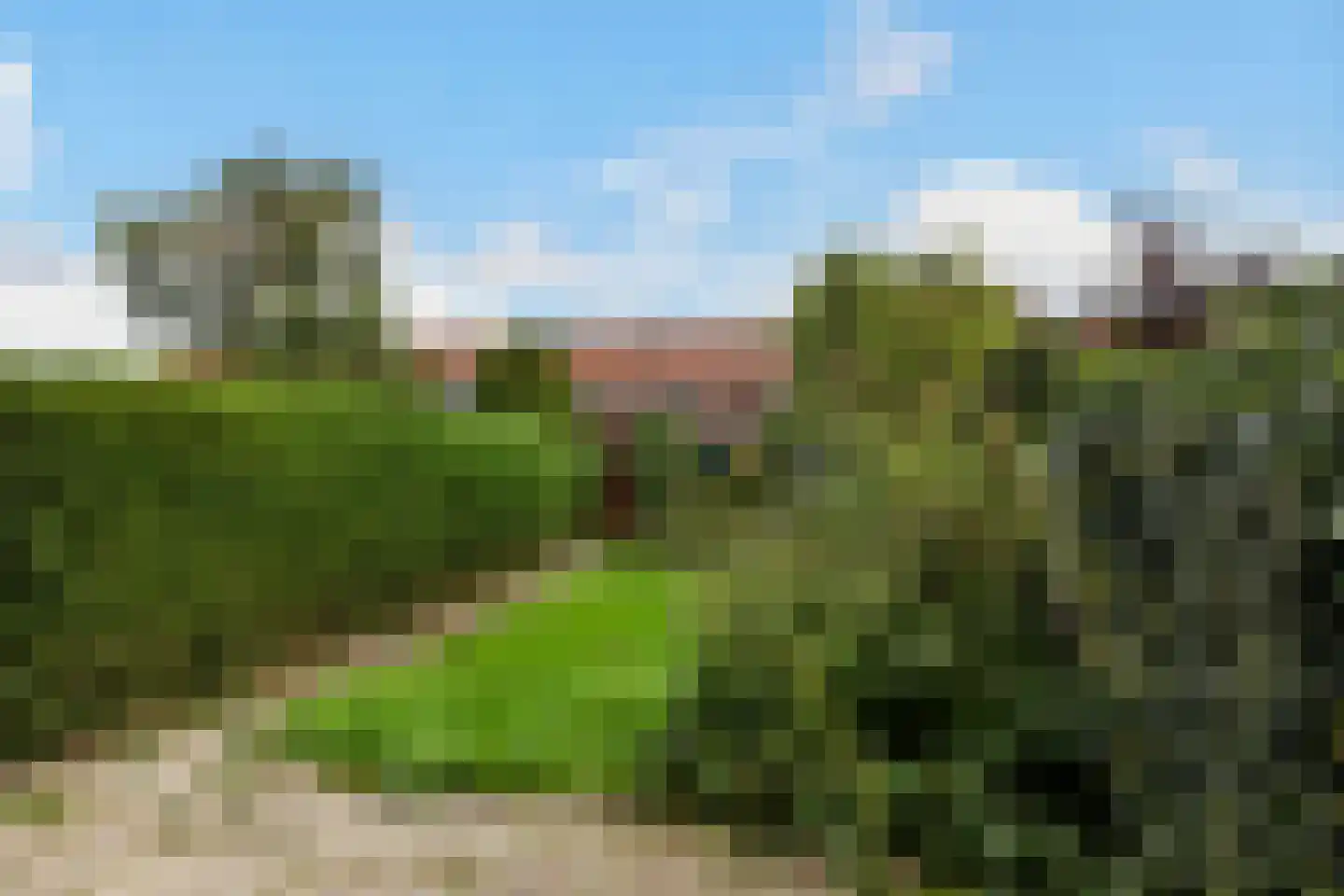 Borchsatelaan 93 Rotterdam thumbnail 19
