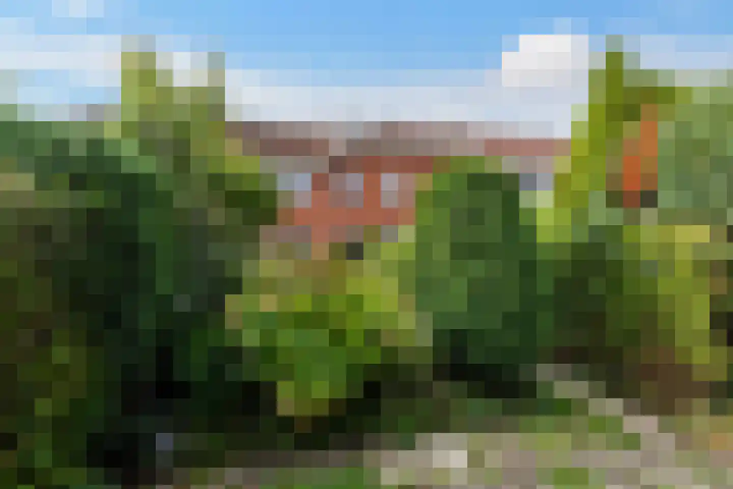 Borchsatelaan 93 Rotterdam thumbnail 22