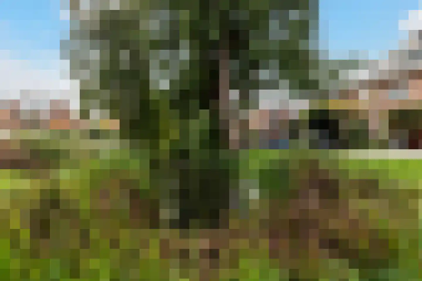 Borchsatelaan 93 Rotterdam thumbnail 23