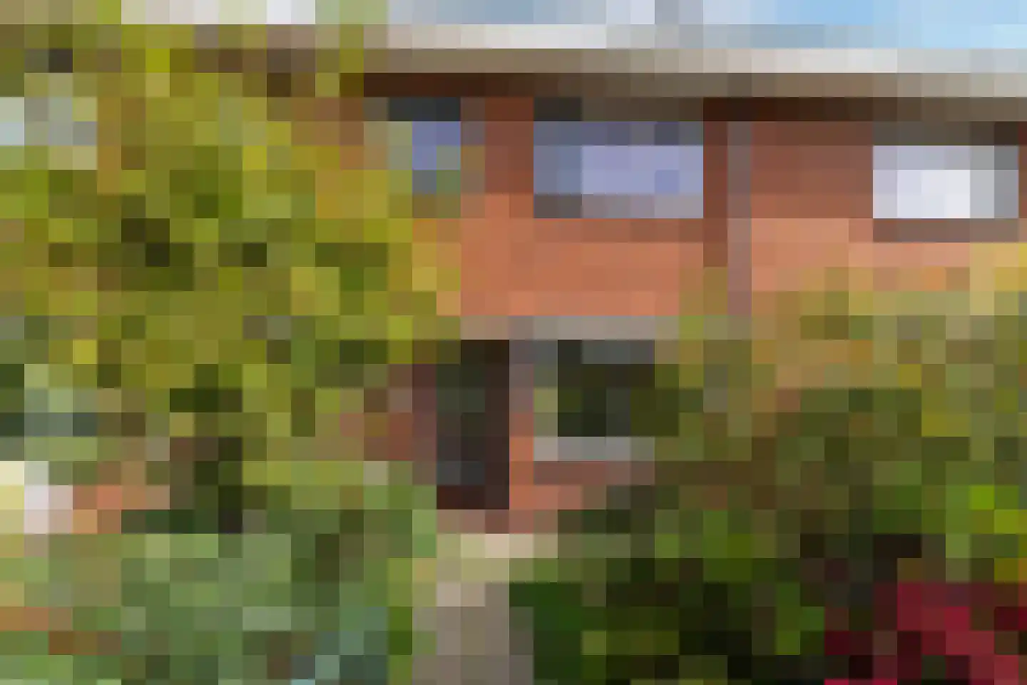 Borchsatelaan 93 Rotterdam thumbnail 31