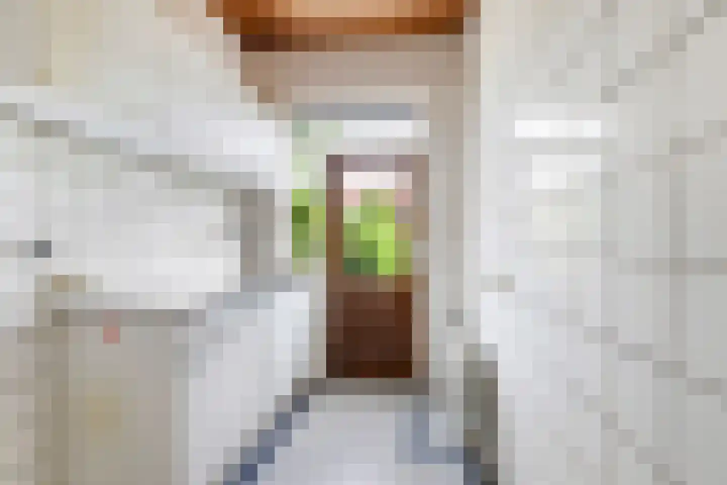 Borchsatelaan 93 Rotterdam thumbnail 6