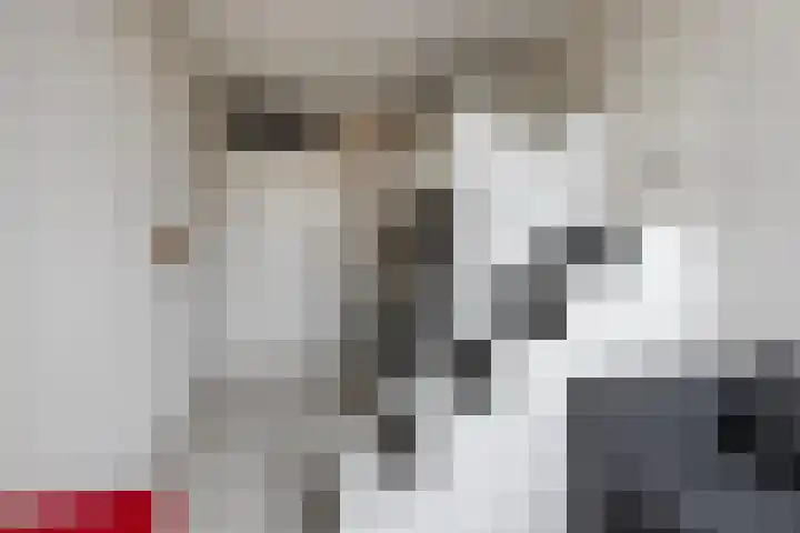 Borculo 25 Valkenburg thumbnail 21