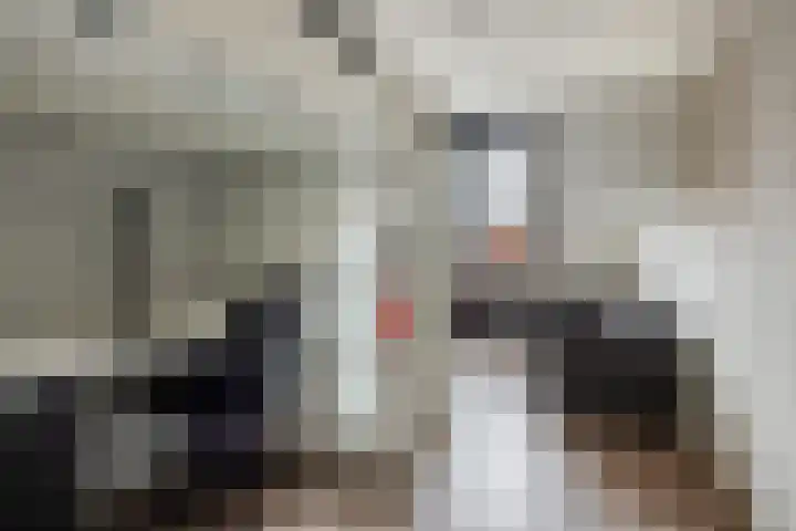 Borculo 25 Valkenburg thumbnail 22
