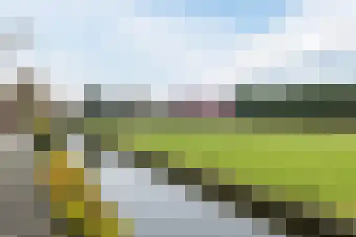 Borculo 25 Valkenburg thumbnail 40