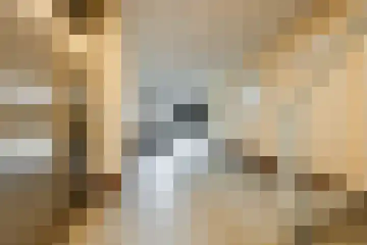 Borculo 25 Valkenburg thumbnail 6