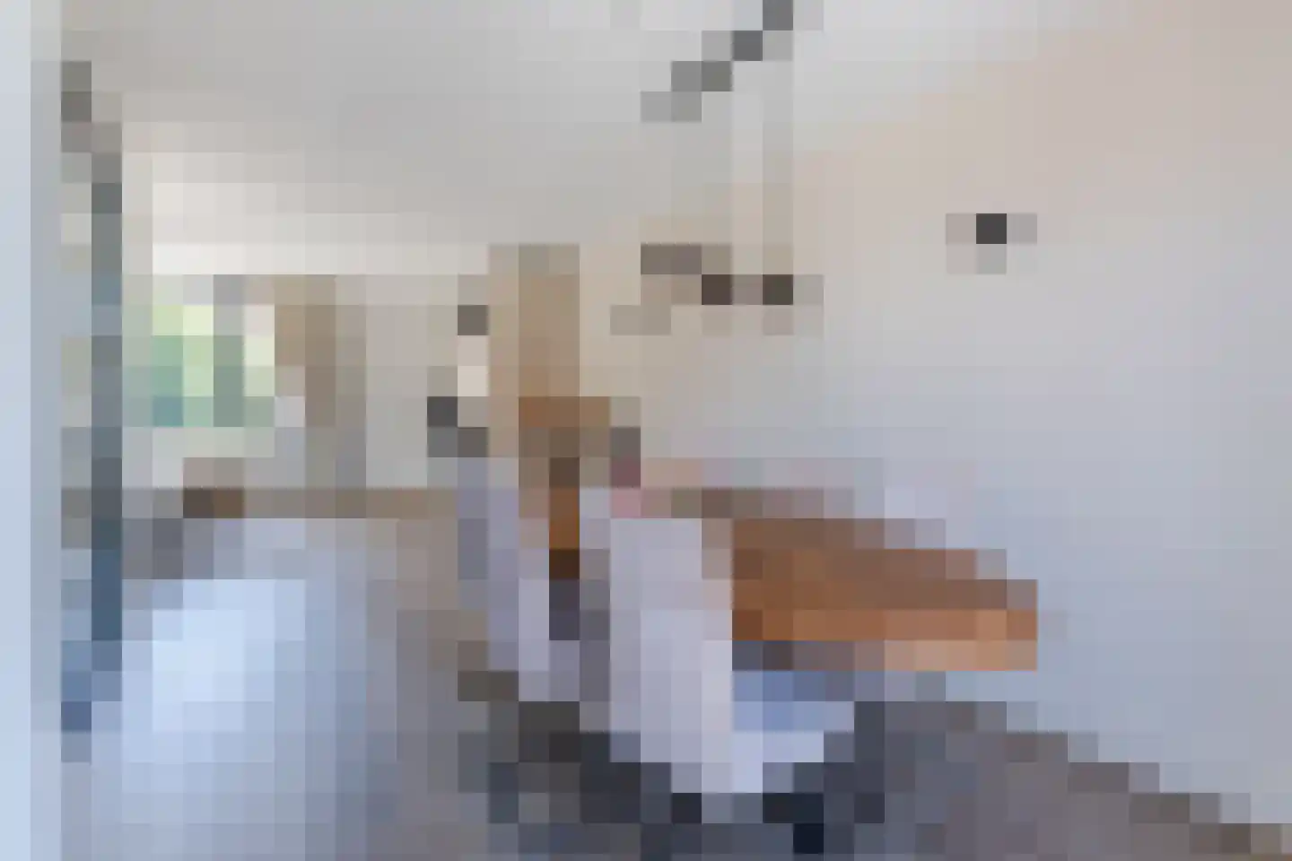 Borculolaan 17 Tilburg thumbnail 10