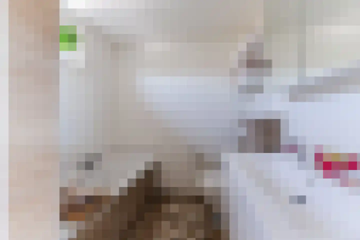 Borculolaan 17 Tilburg thumbnail 19