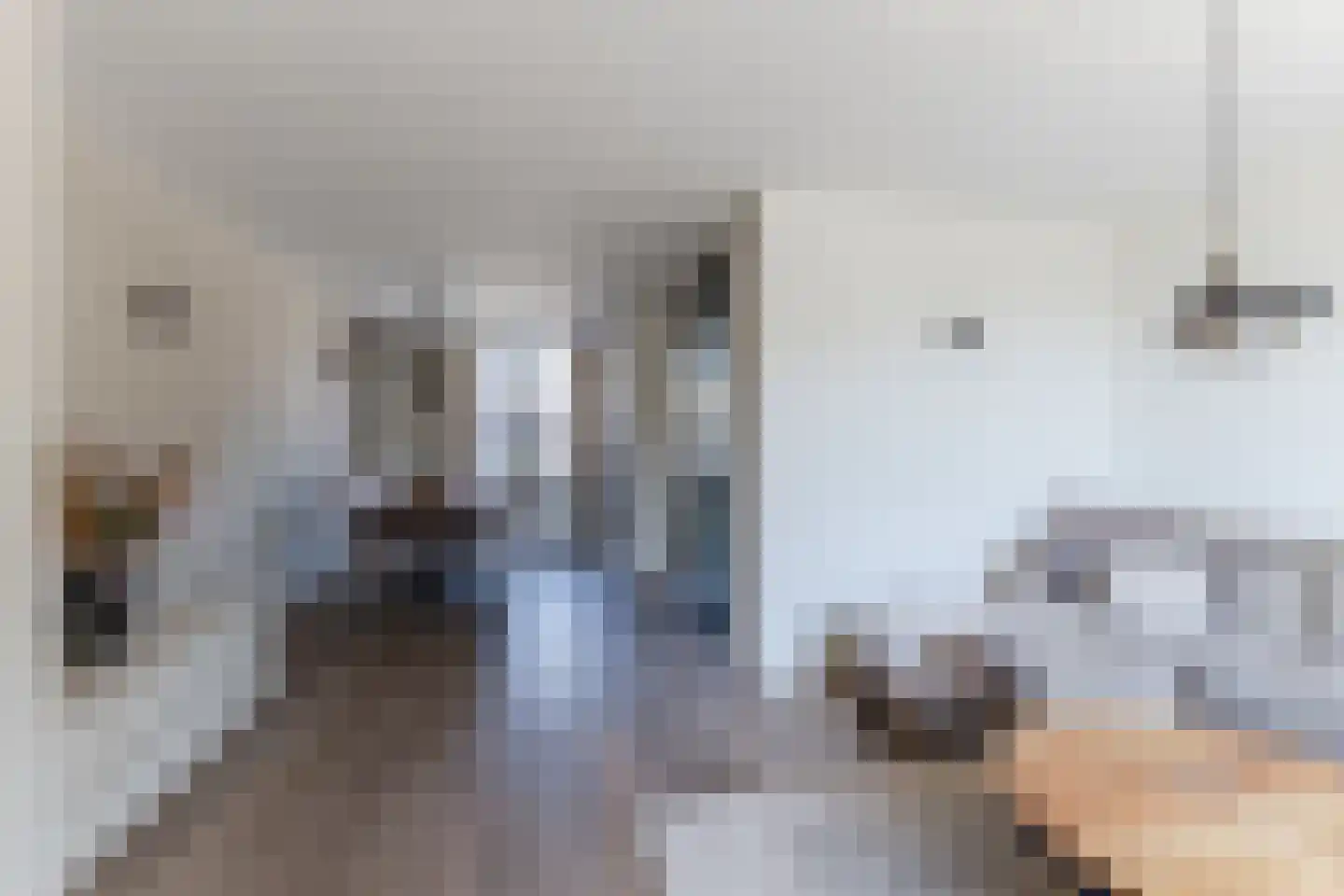 Borculolaan 17 Tilburg thumbnail 4