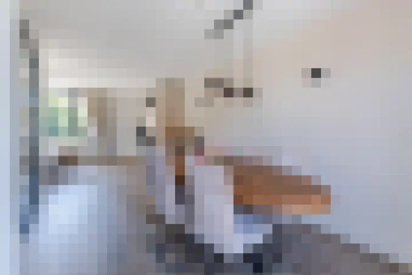 Borculolaan 17 Tilburg thumbnail 6