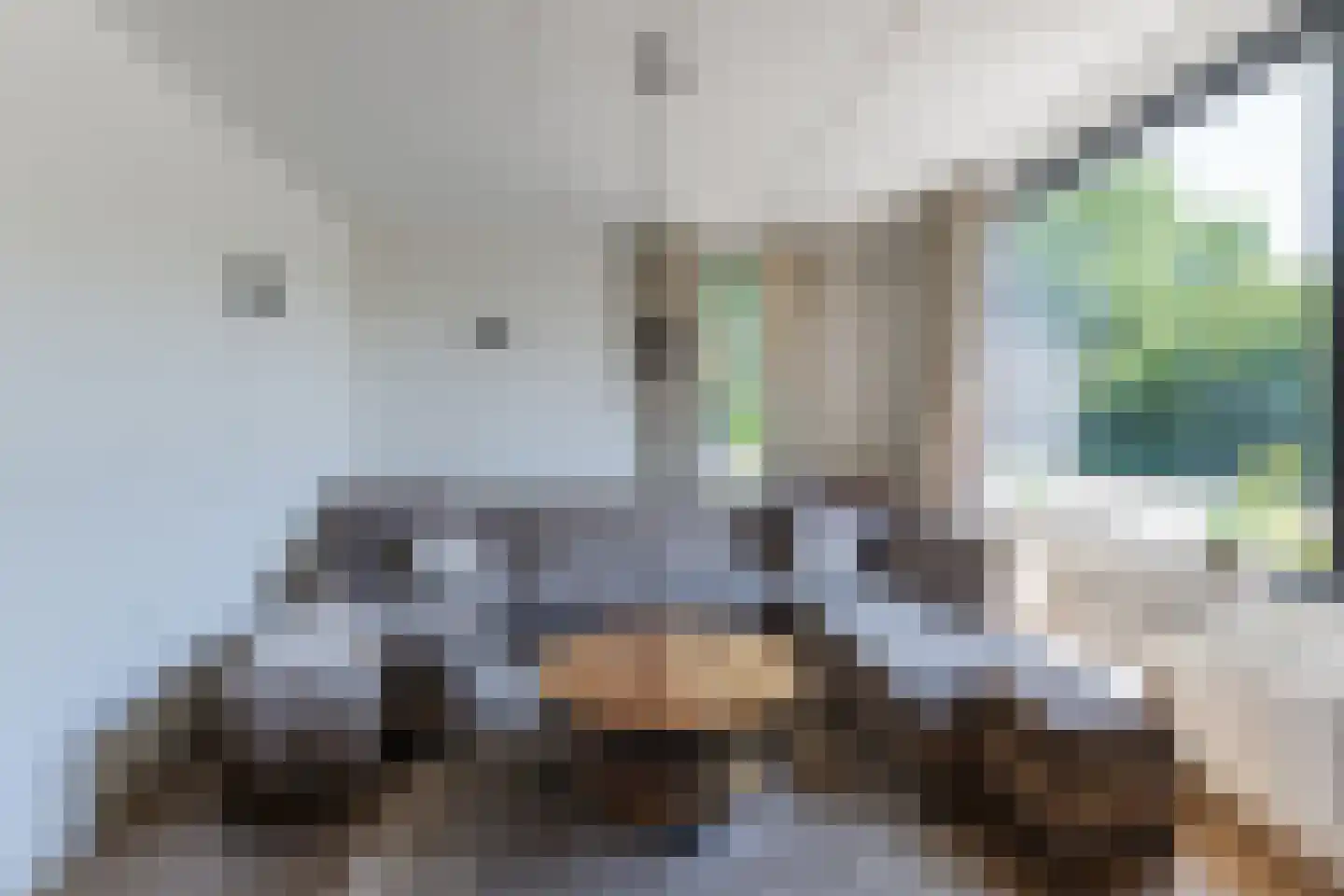Borculolaan 17 Tilburg thumbnail 6