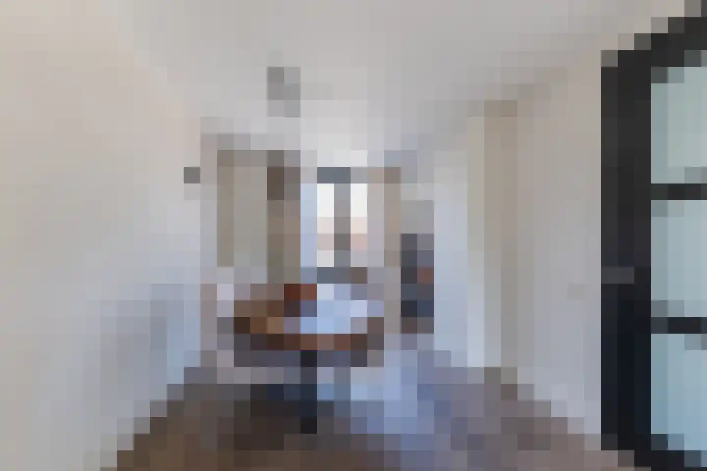 Borculolaan 17 Tilburg thumbnail 7