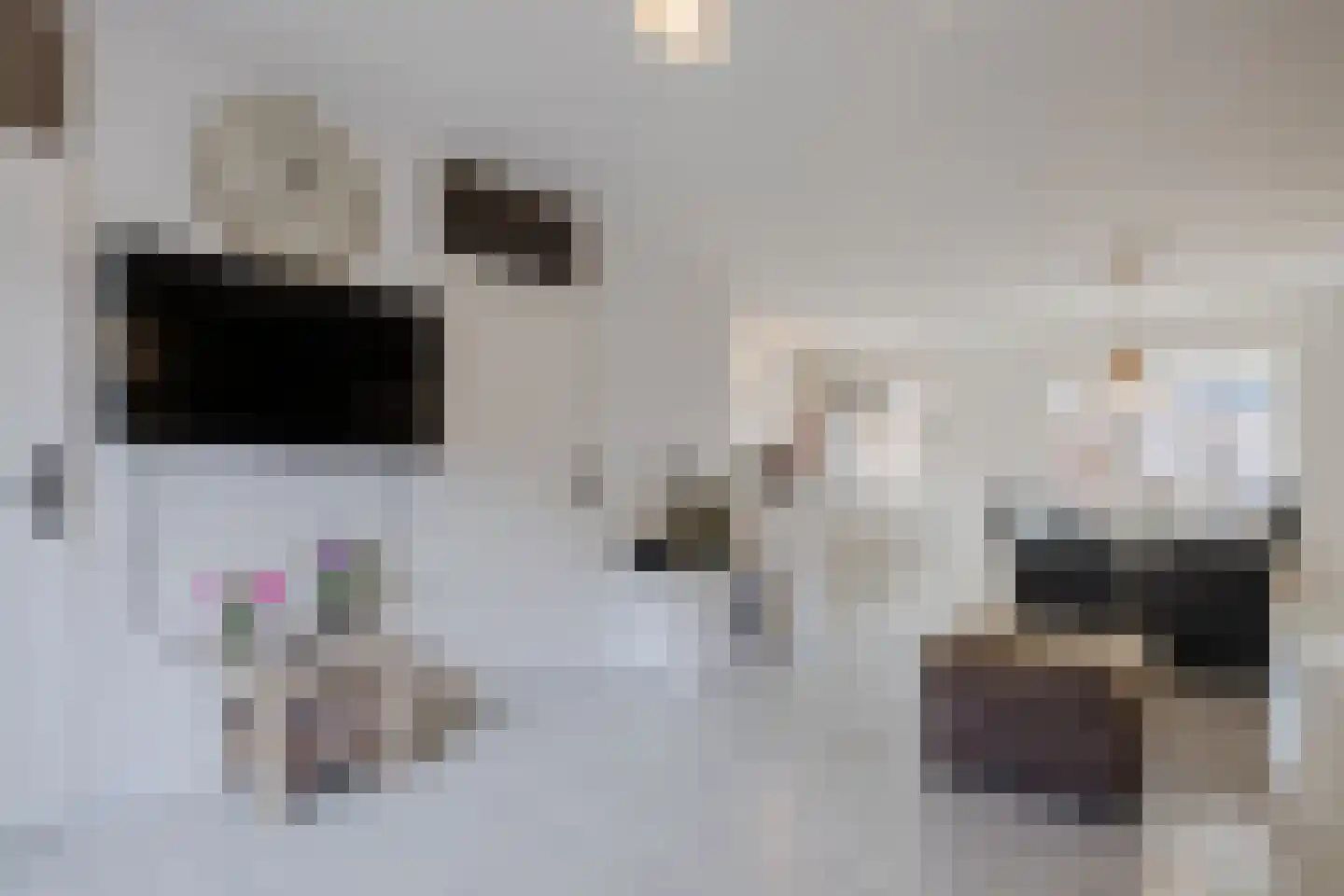 Borculolaan 174 Tilburg thumbnail 13