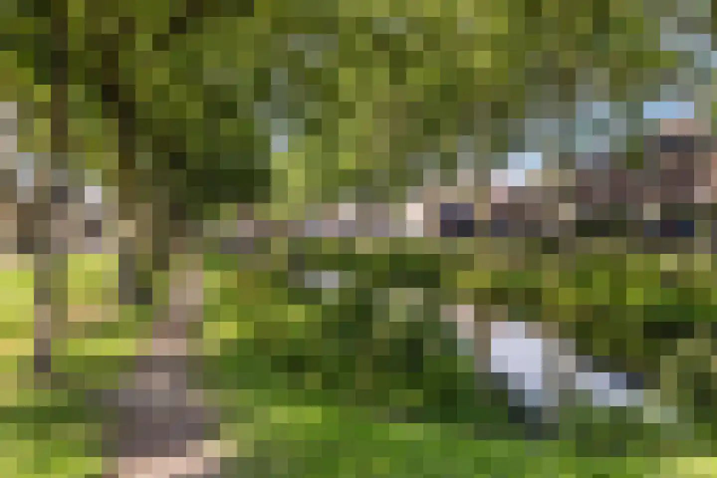 Borculolaan 174 Tilburg thumbnail 44