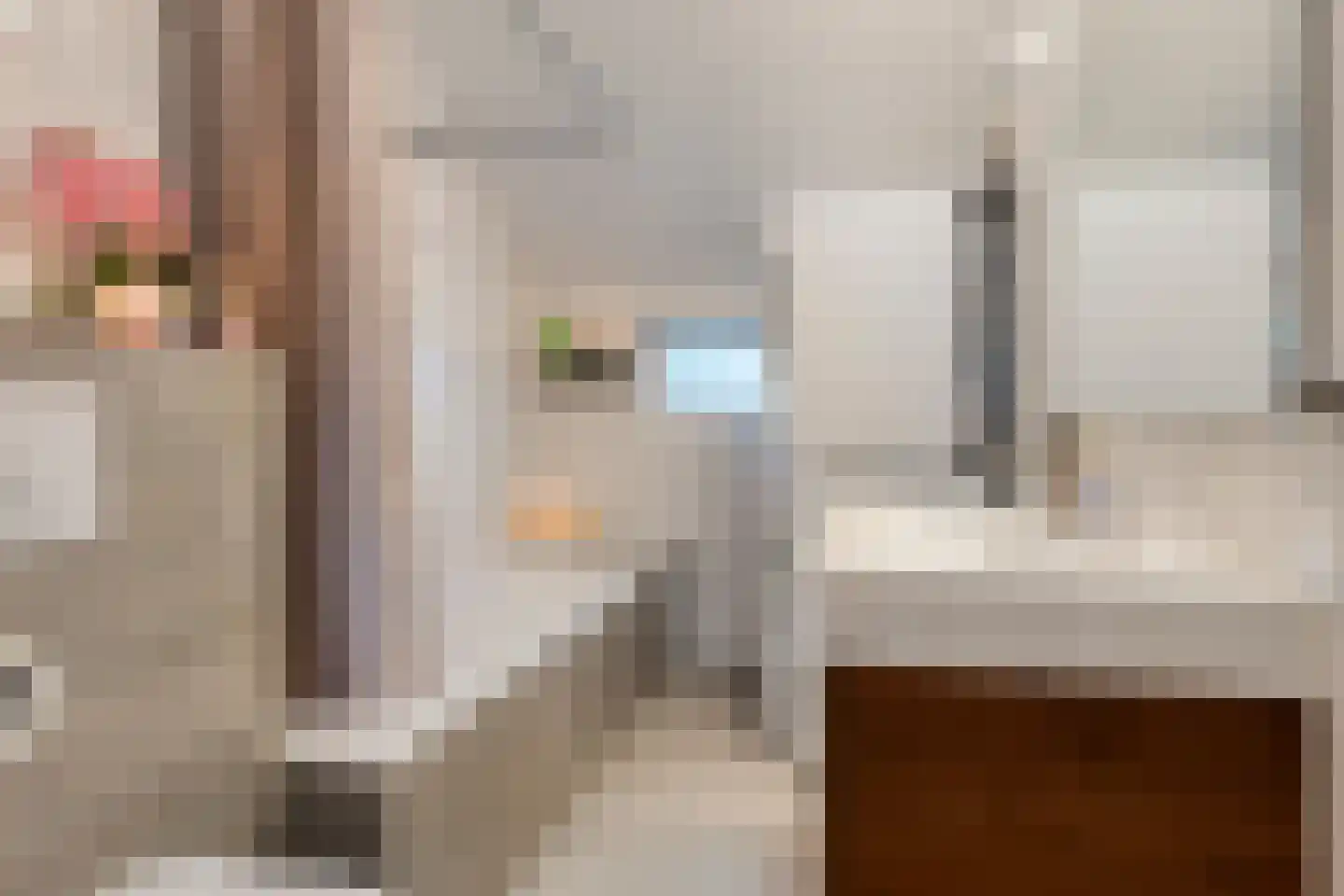 Borculolaan 80 Tilburg thumbnail 22