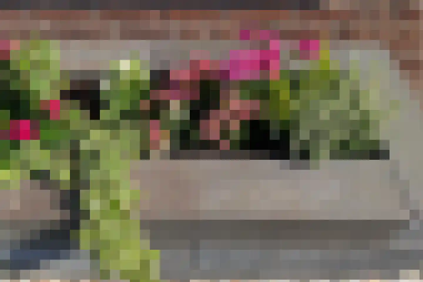 Borculolaan 80 Tilburg thumbnail 36