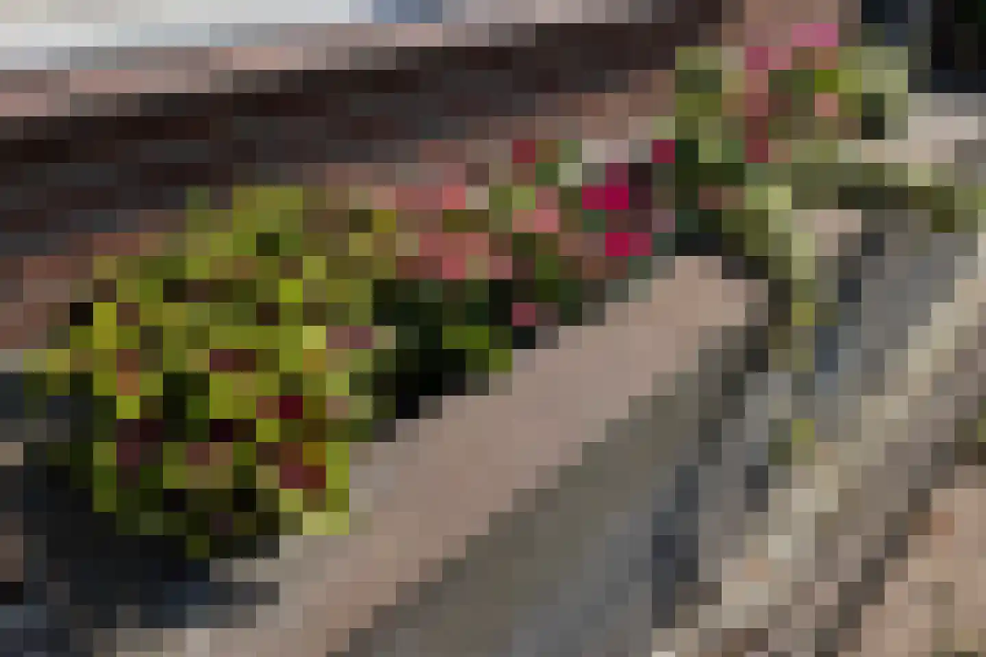 Borculolaan 80 Tilburg thumbnail 37