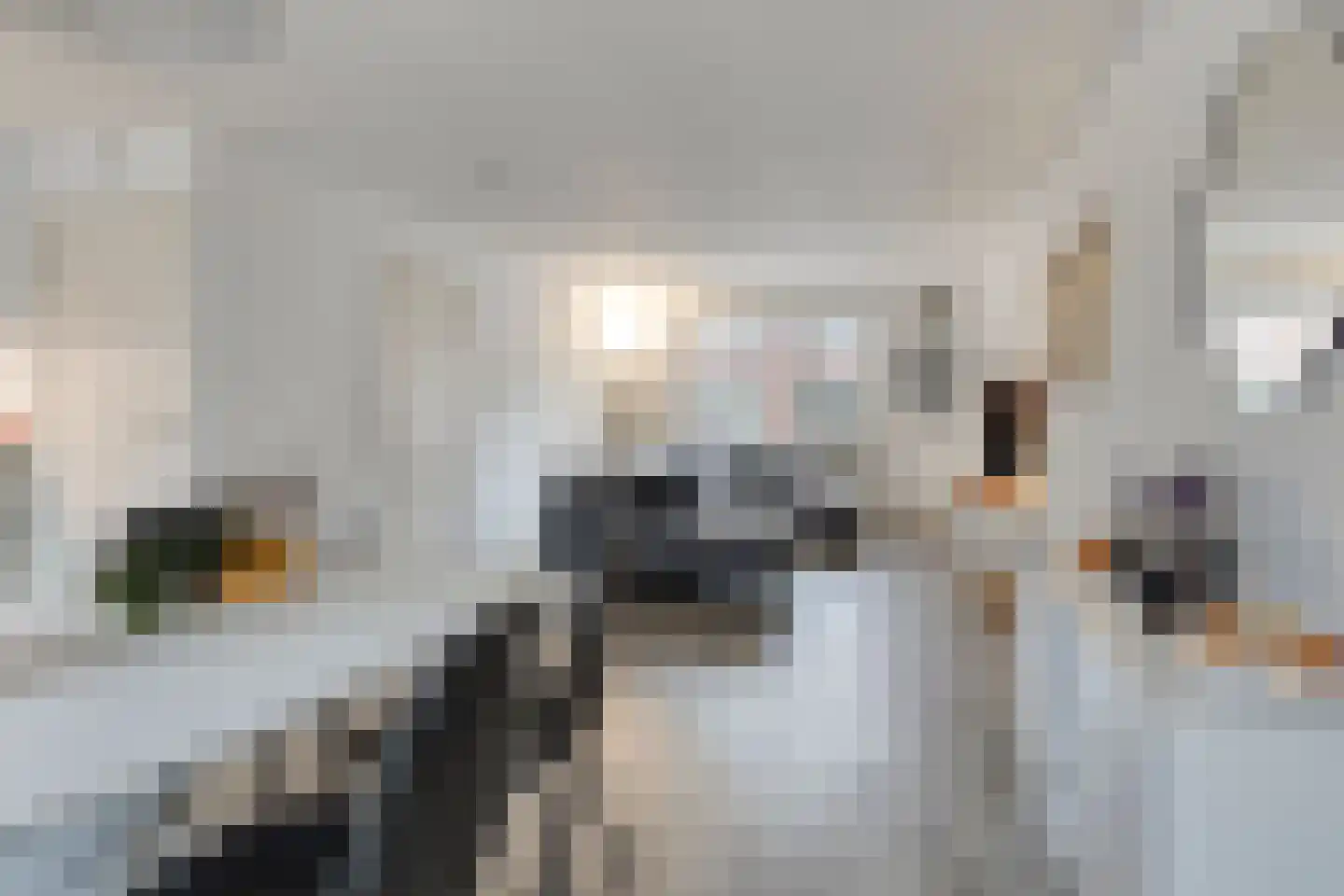 Borculolaan 80 Tilburg thumbnail 4