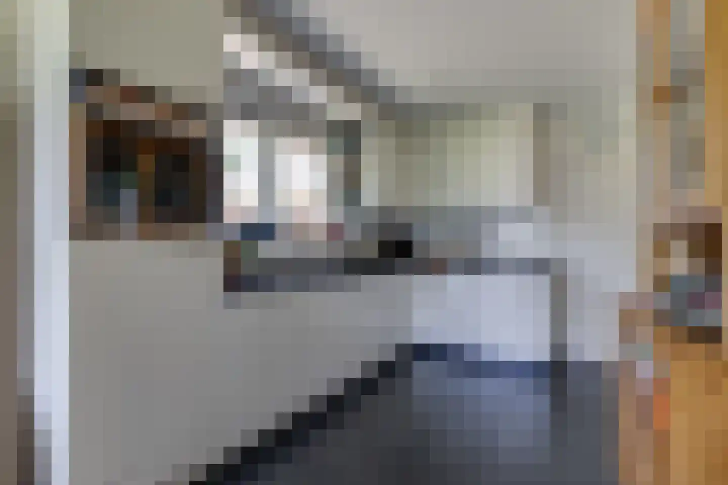 Borculoseweg 101 Neede thumbnail 11
