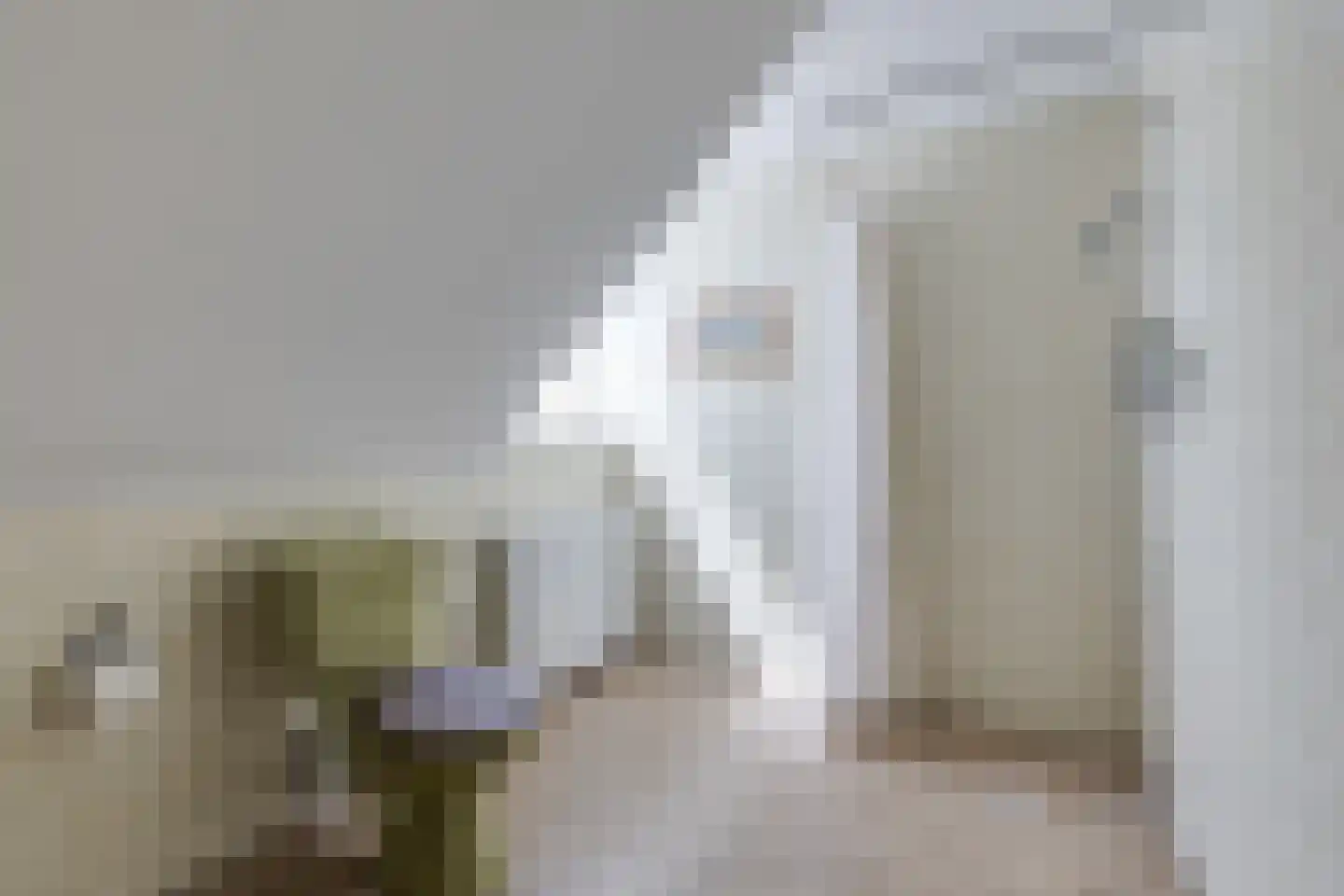 Borculoseweg 101 Neede thumbnail 33