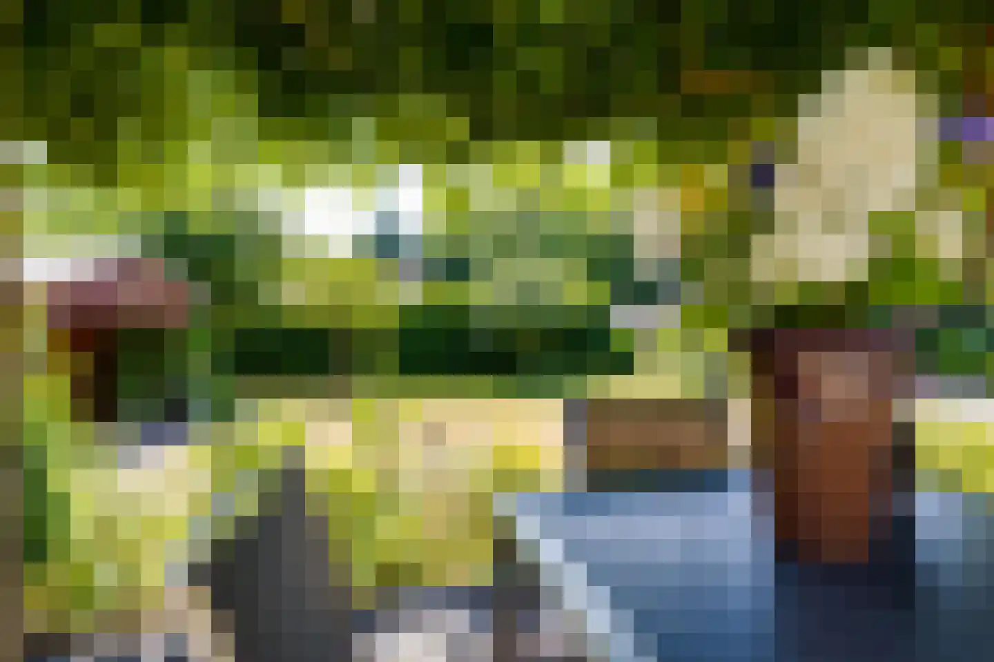 Borculoseweg 101 Neede thumbnail 37