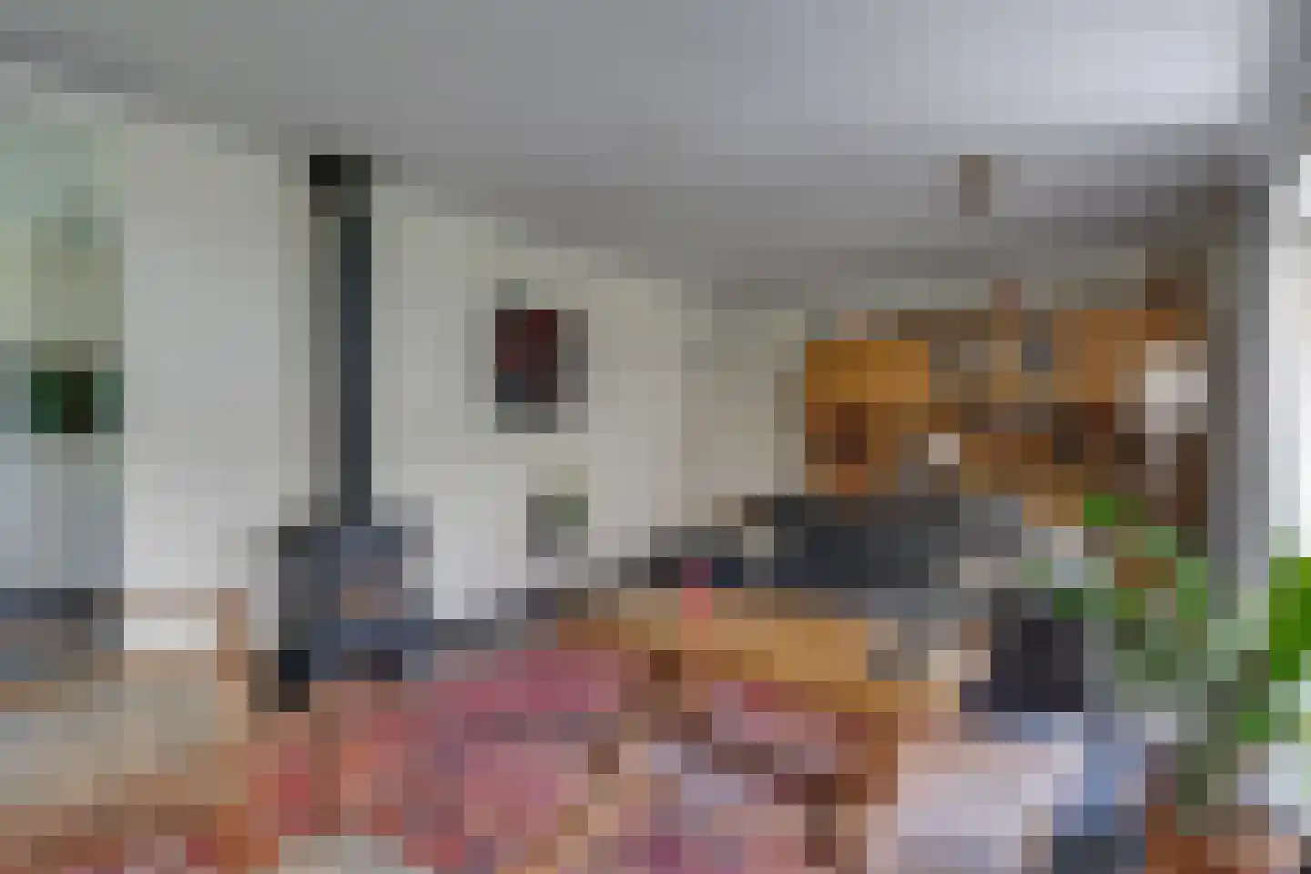 Borculoseweg 101 Neede thumbnail 4