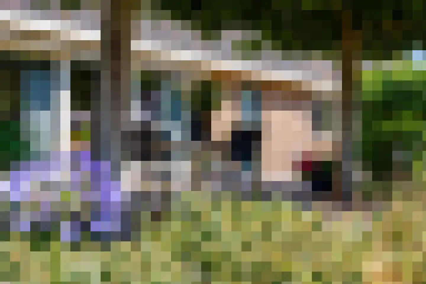 Borculoseweg 101 Neede thumbnail 40