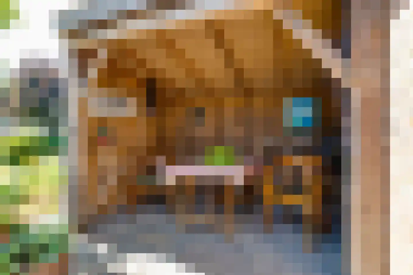Borculoseweg 101 Neede thumbnail 42