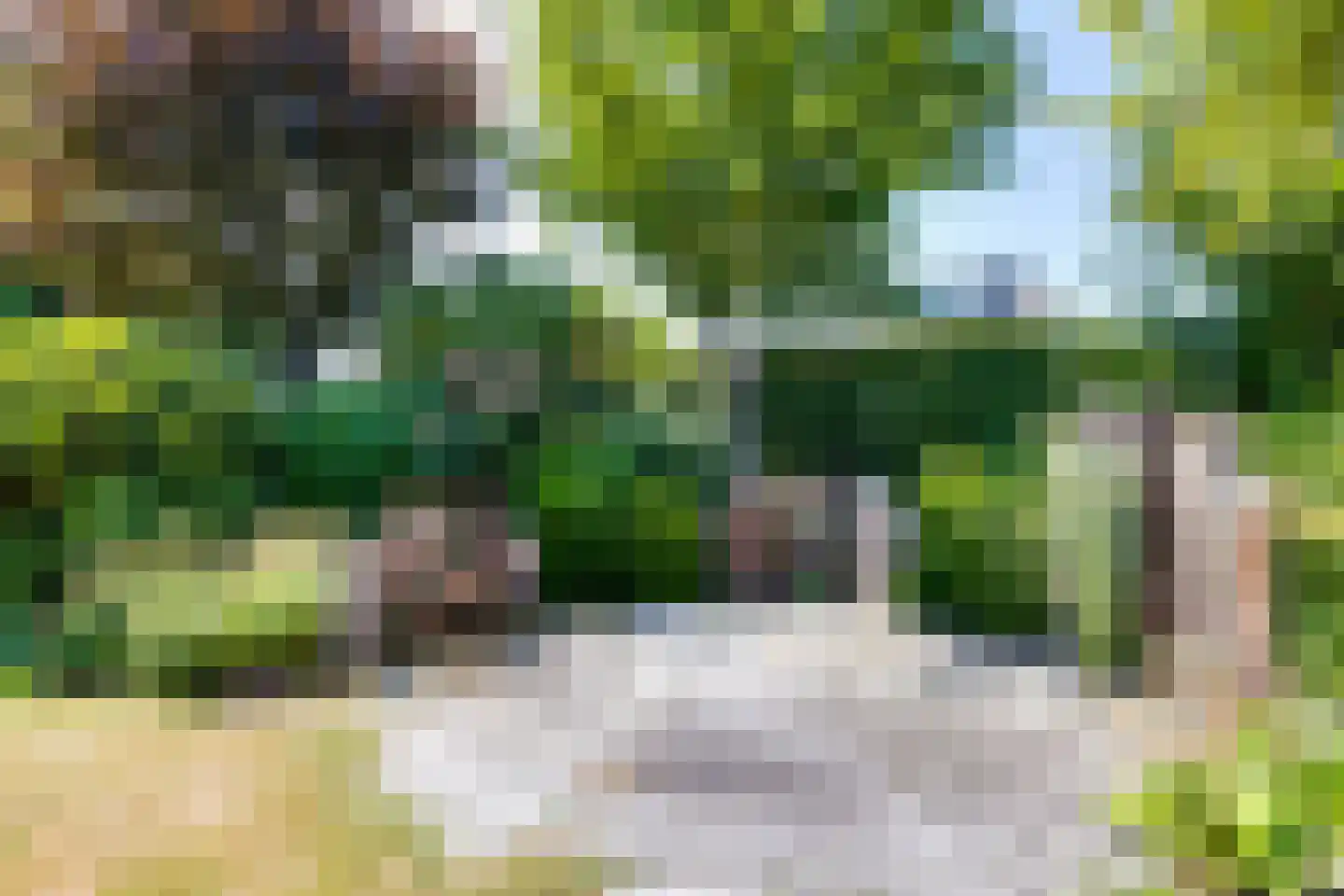 Borculoseweg 101 Neede thumbnail 46