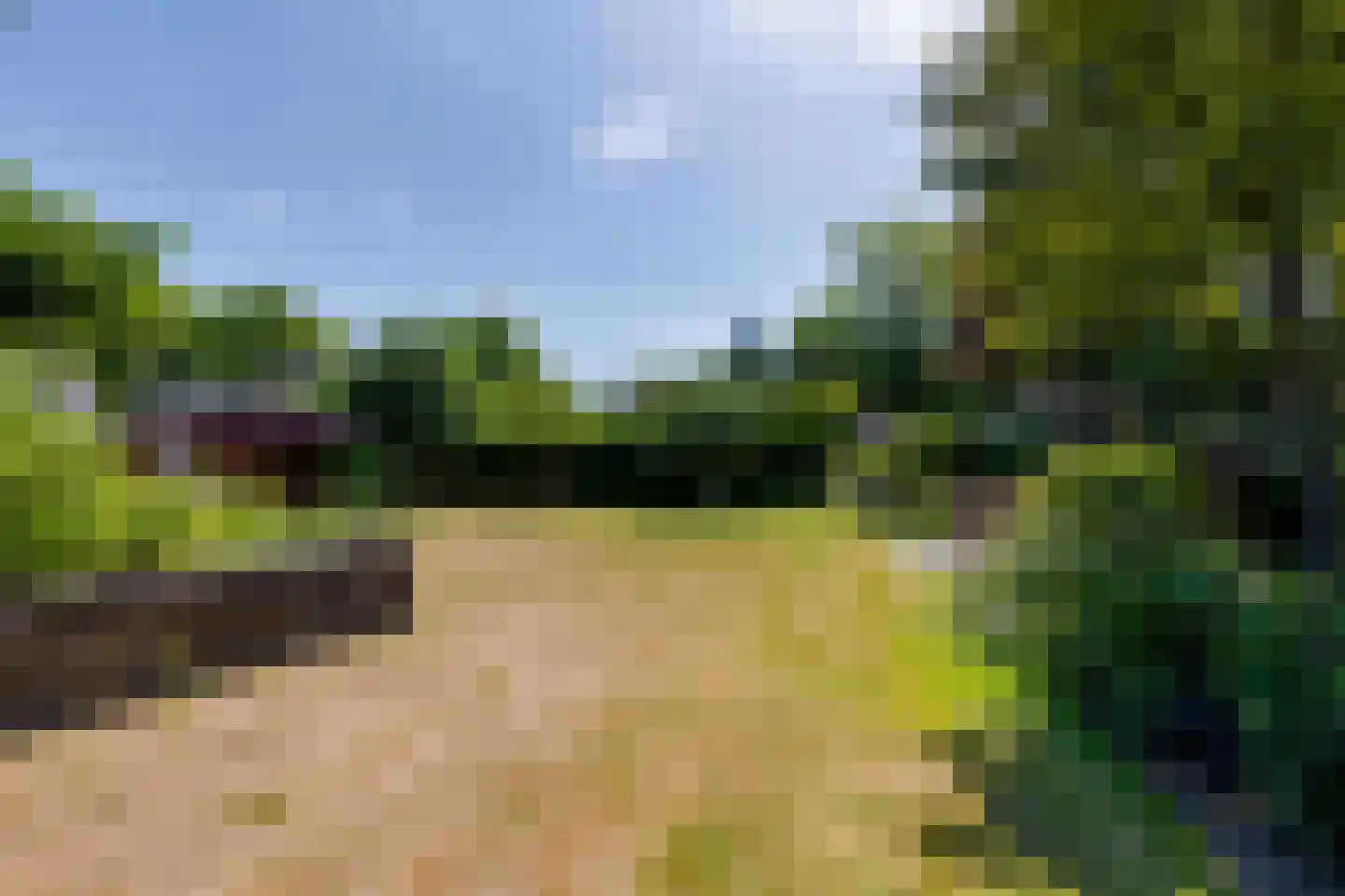 Borculoseweg 101 Neede thumbnail 49