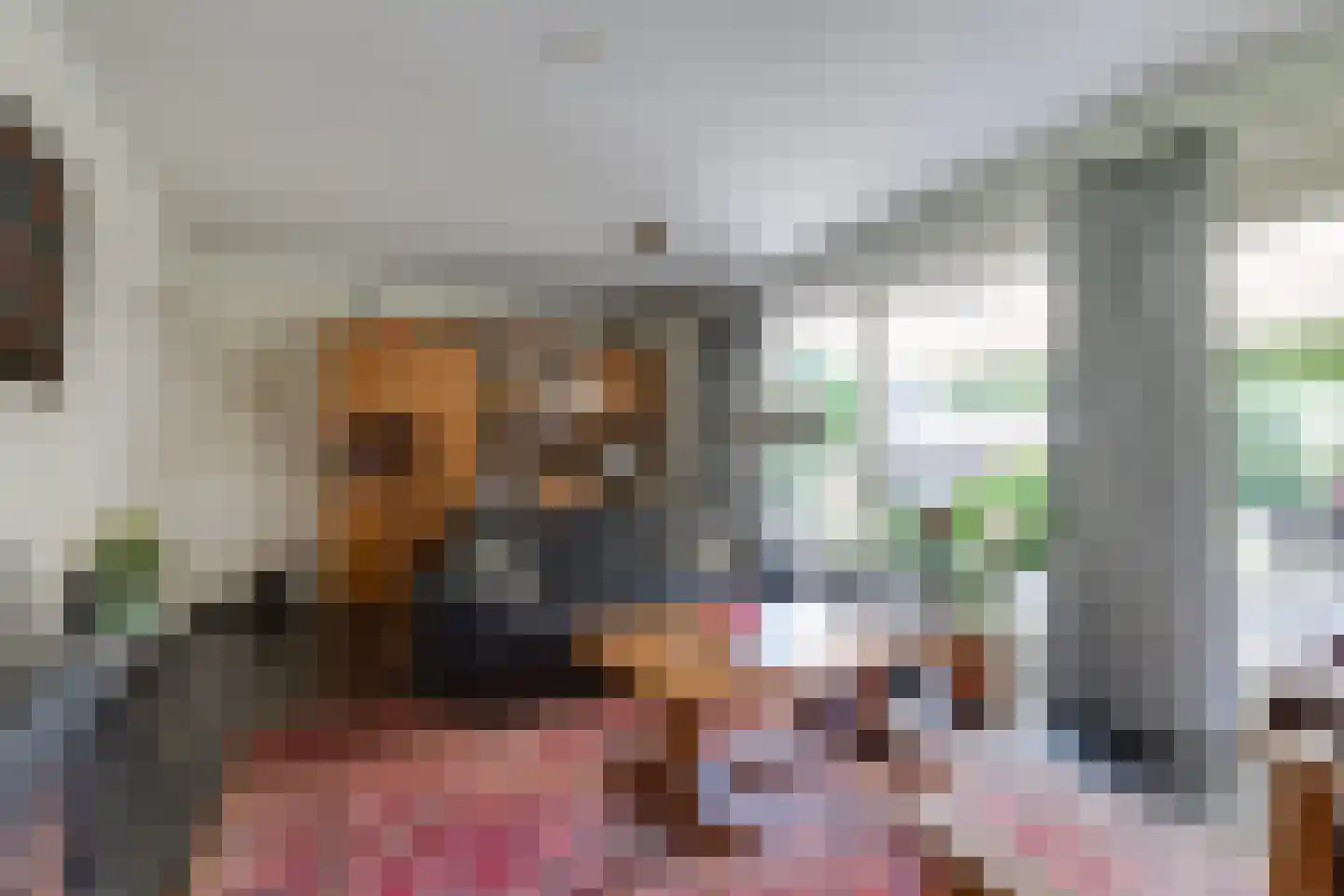 Borculoseweg 101 Neede thumbnail 5