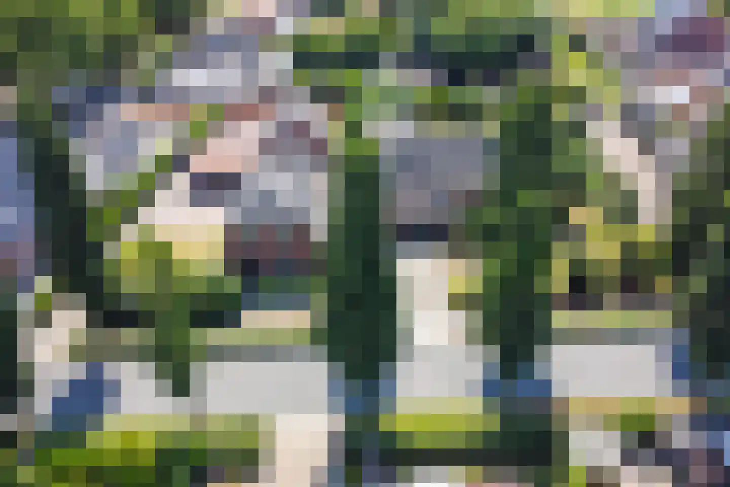 Borculoseweg 101 Neede thumbnail 52