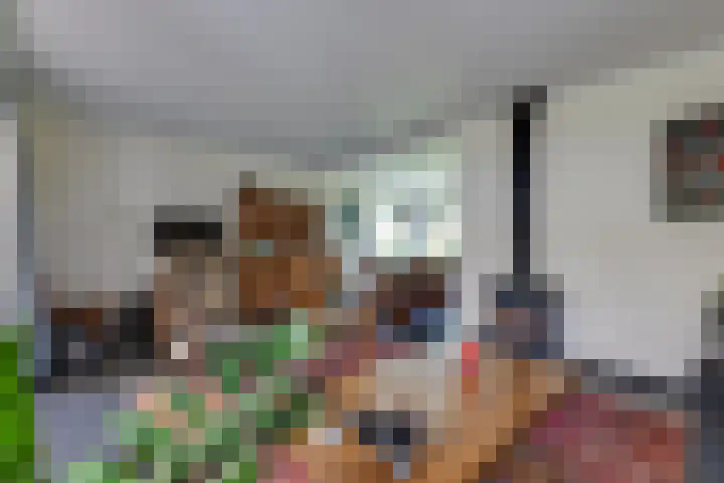 Borculoseweg 101 Neede thumbnail 6
