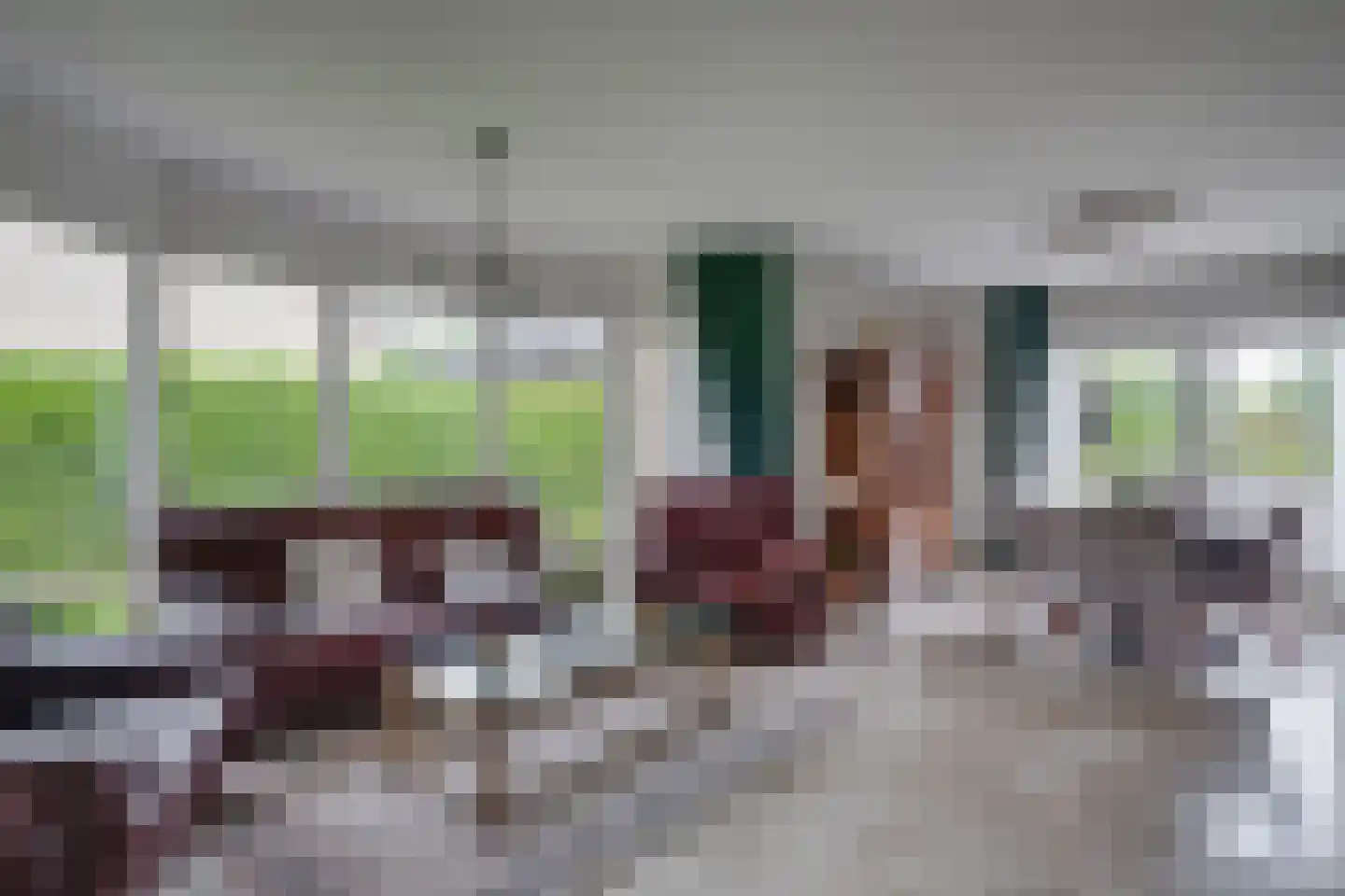 Borculoseweg 104 a Neede thumbnail 7