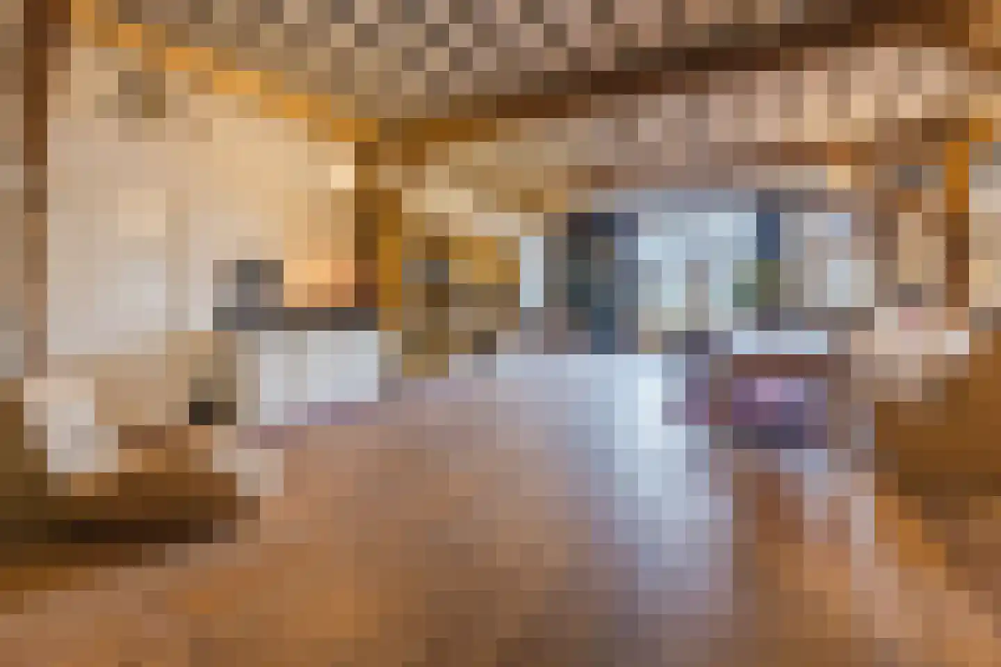 Borculoseweg 112 Neede thumbnail 12