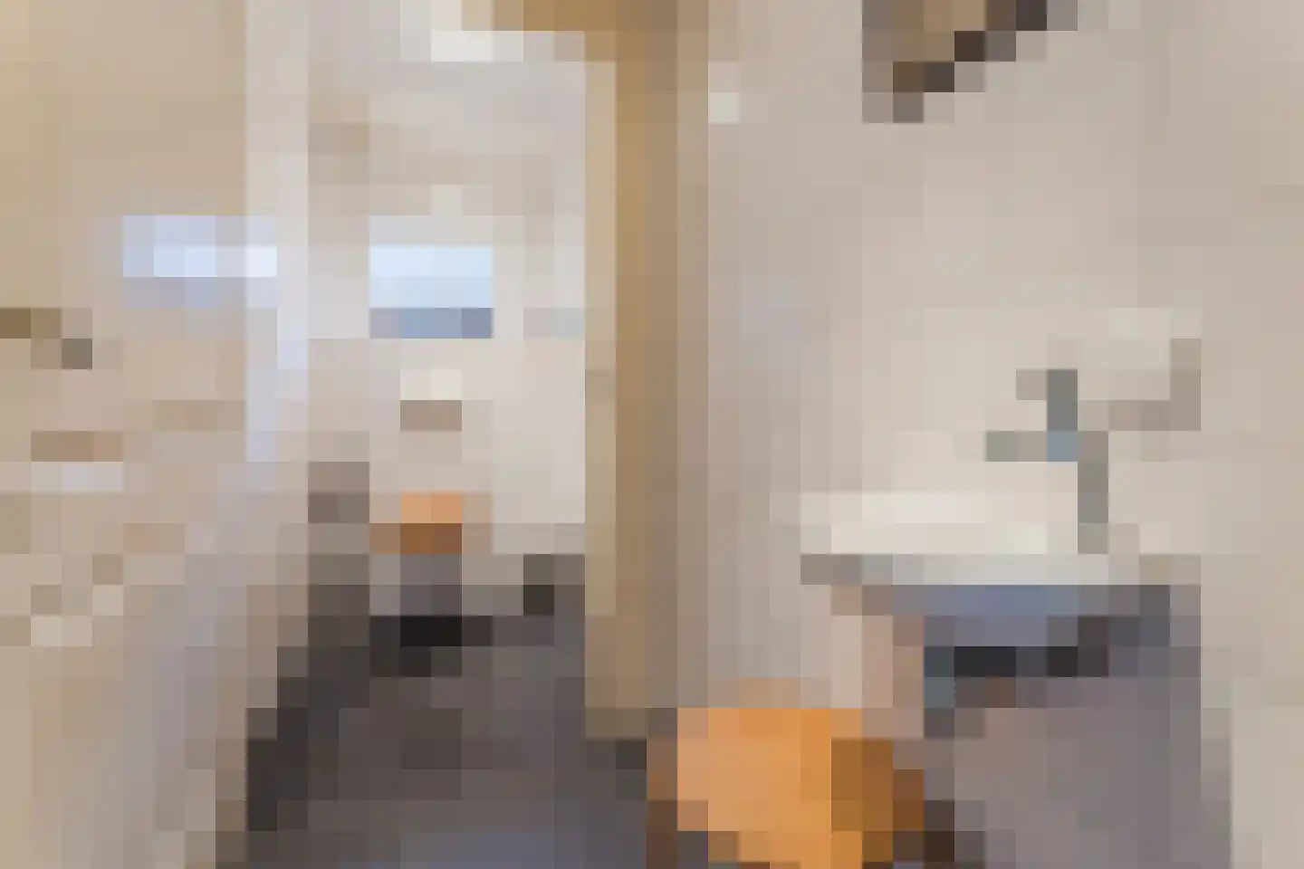 Borculoseweg 112 Neede thumbnail 15