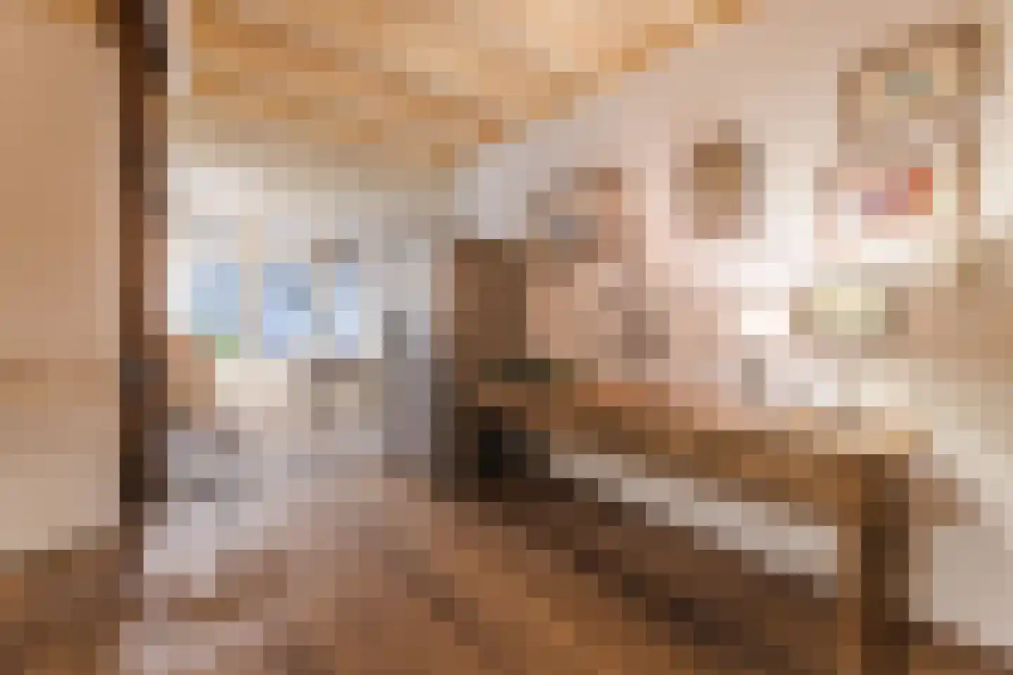 Borculoseweg 112 Neede thumbnail 18