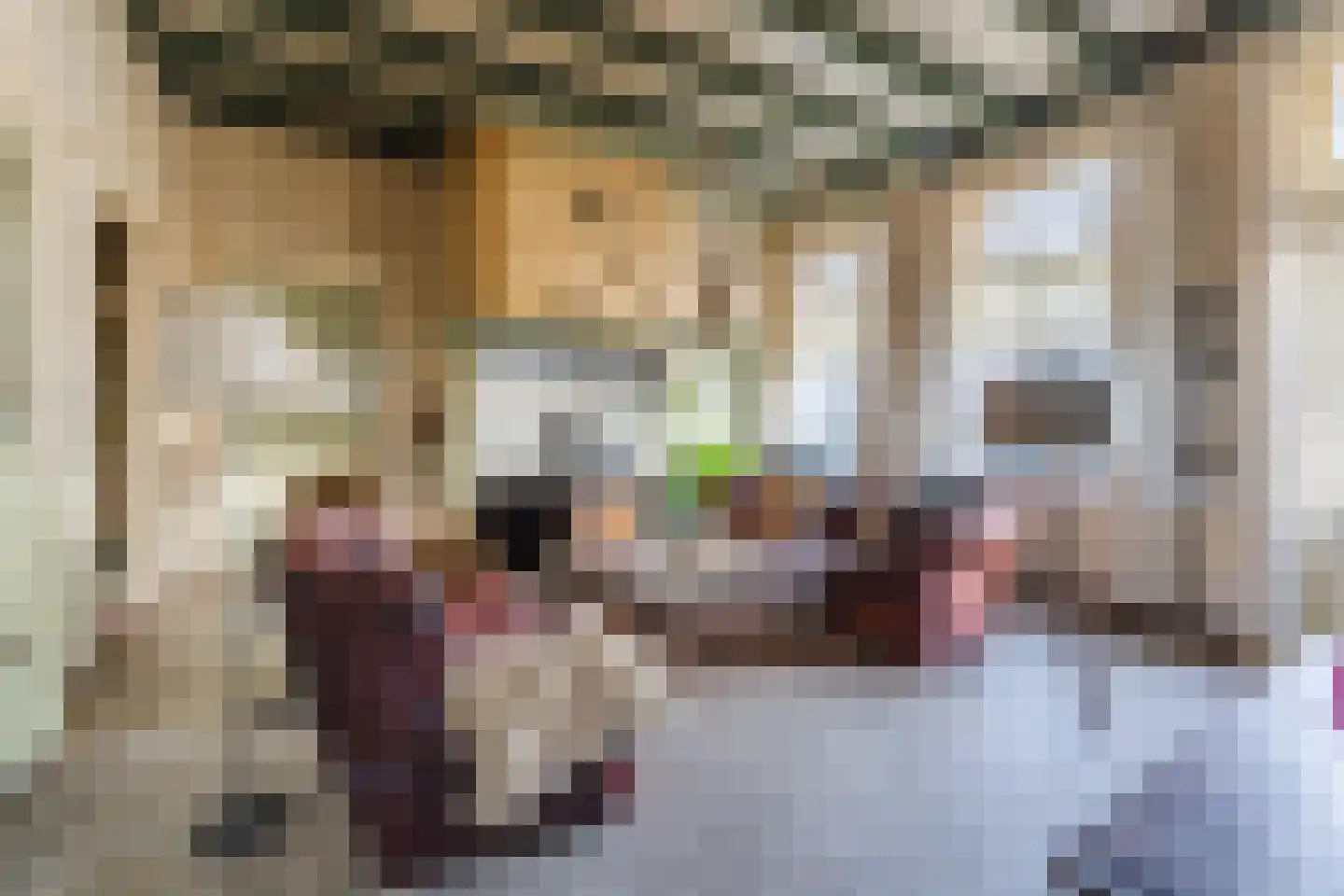 Borculoseweg 112 Neede thumbnail 26