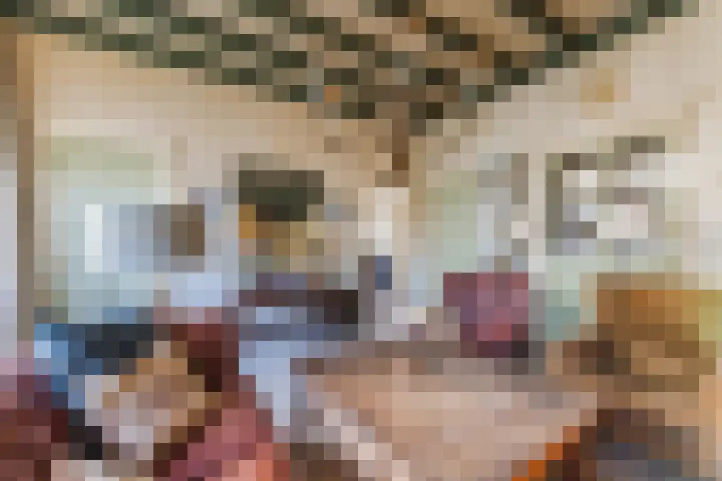 Borculoseweg 112 Neede thumbnail 34