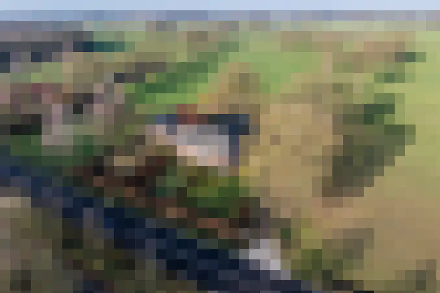 Borculoseweg 112 Neede thumbnail 5