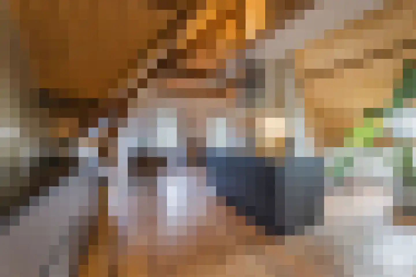 Borculoseweg 112 Neede thumbnail 53