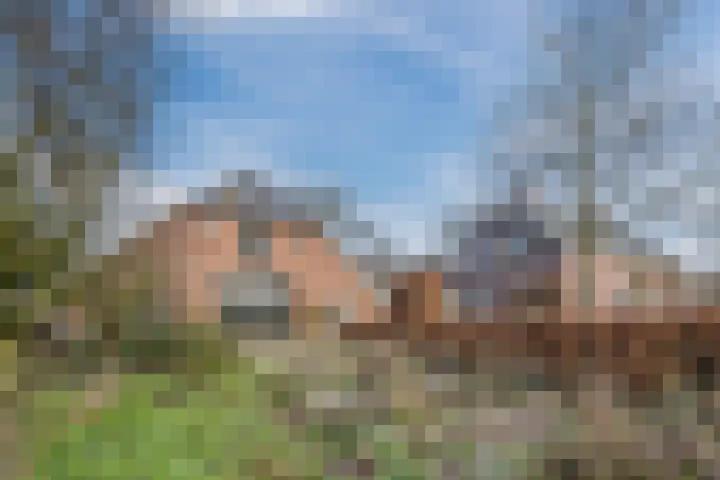 Borculoseweg 112 Neede thumbnail 6