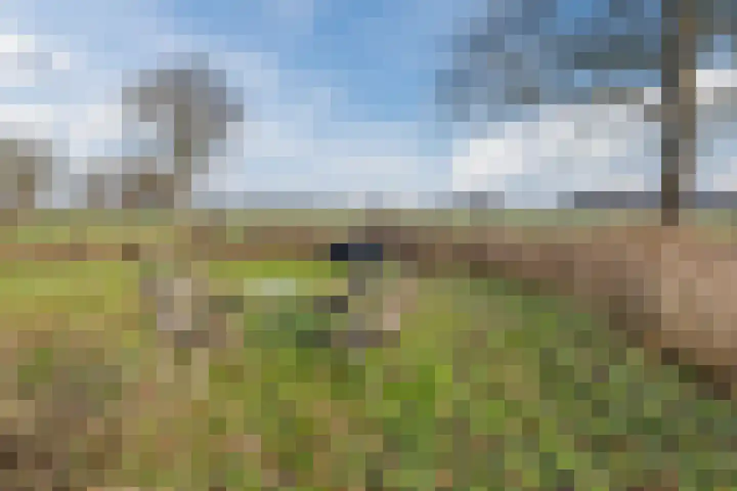 Borculoseweg 112 Neede thumbnail 67