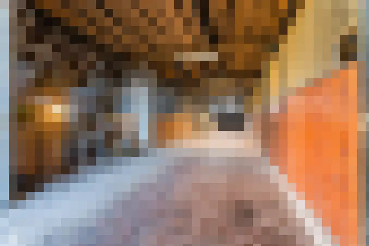 Borculoseweg 112 Neede thumbnail 67