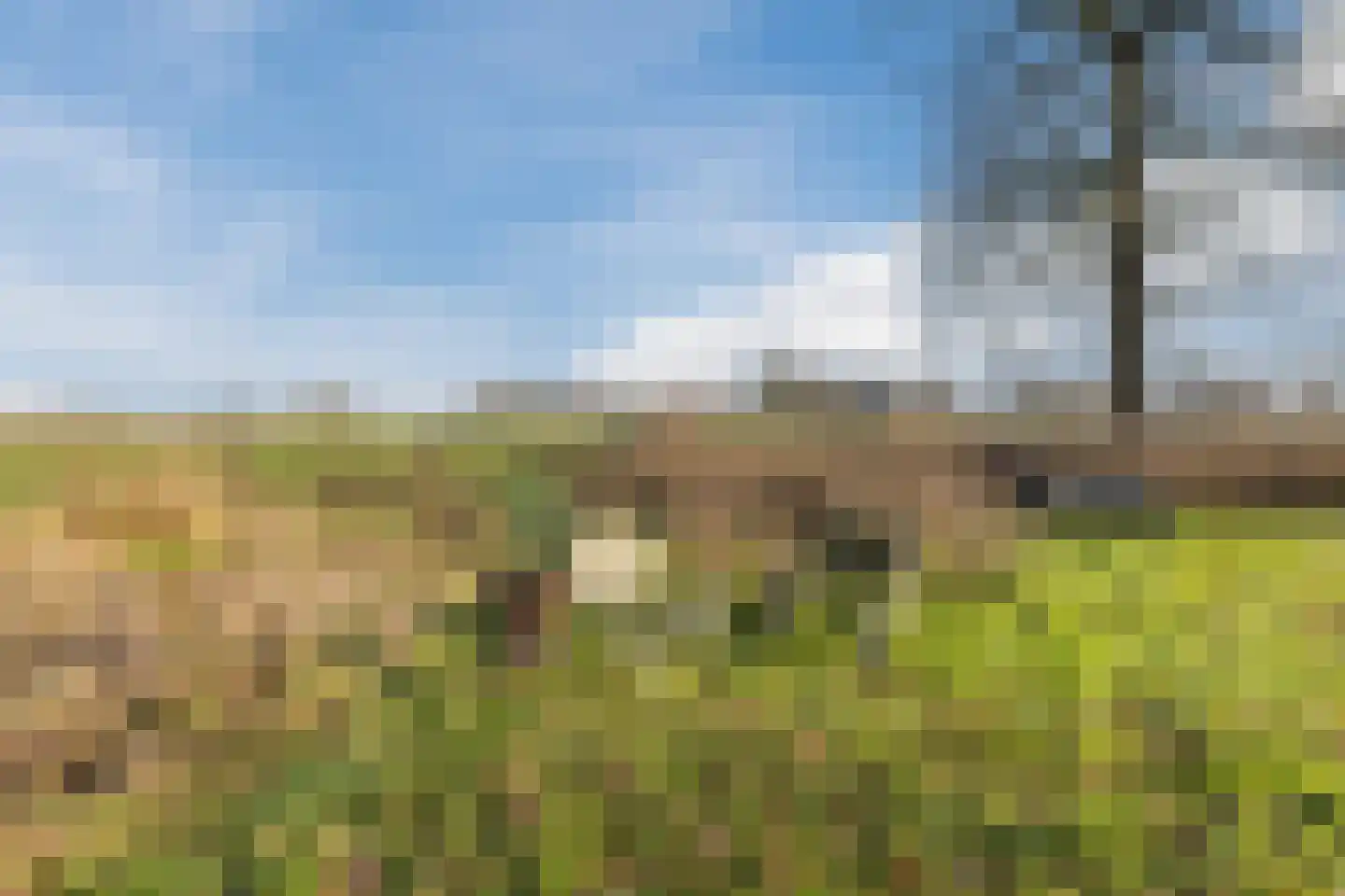 Borculoseweg 112 Neede thumbnail 68