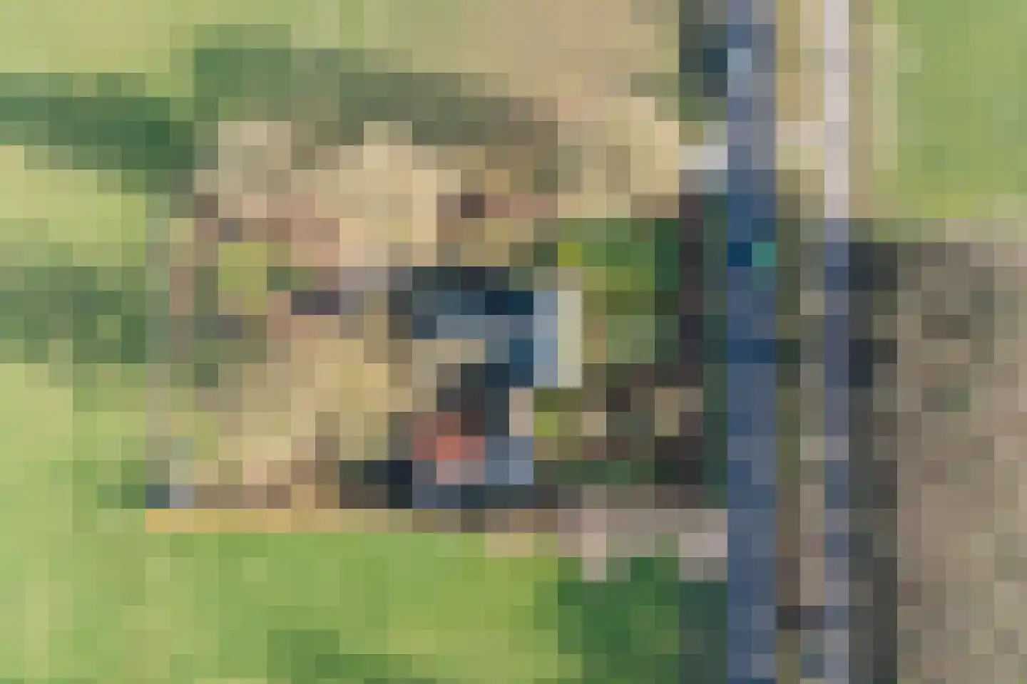 Borculoseweg 112 Neede thumbnail 71