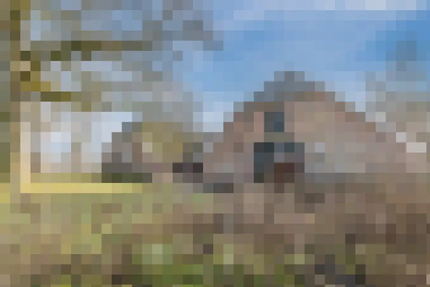 Borculoseweg 112 Neede thumbnail 71