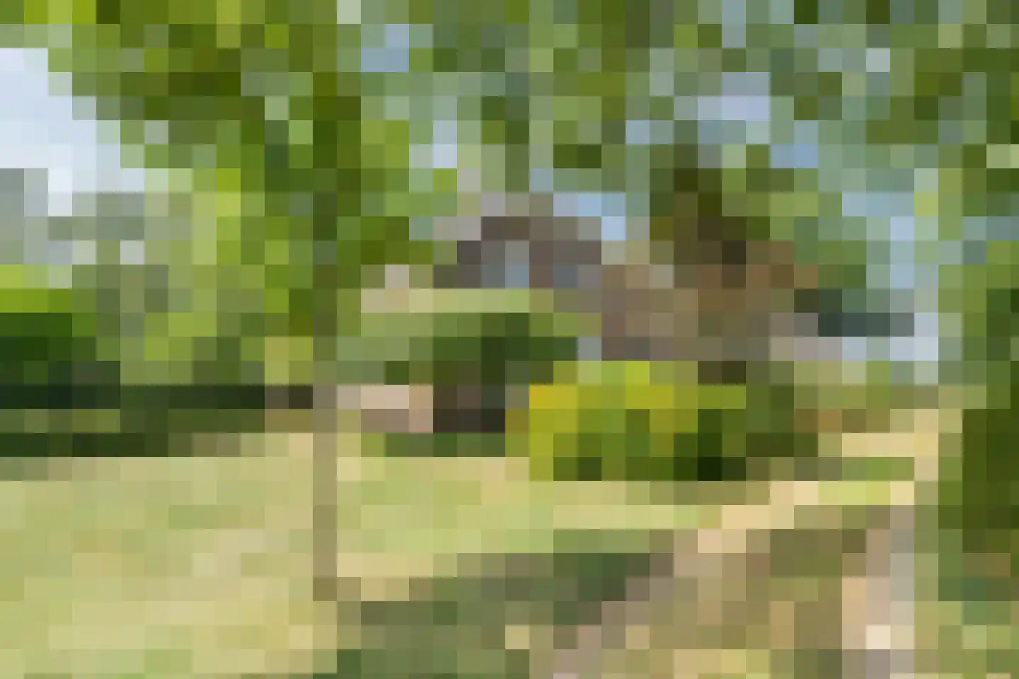 Borculoseweg 112 Neede thumbnail 74