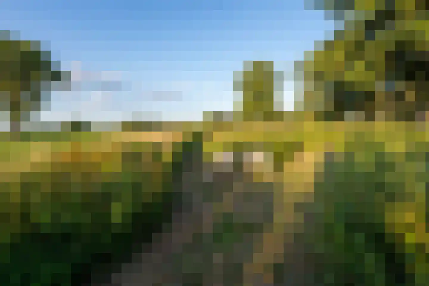 Borculoseweg 112 Neede thumbnail 78